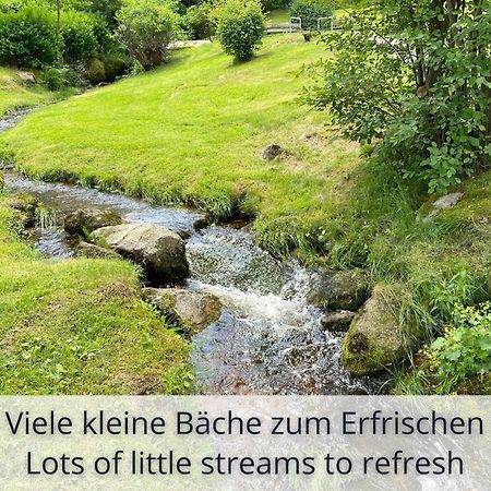 Auszeit Apartment Black Forest Schonach im Schwarzwald Экстерьер фото