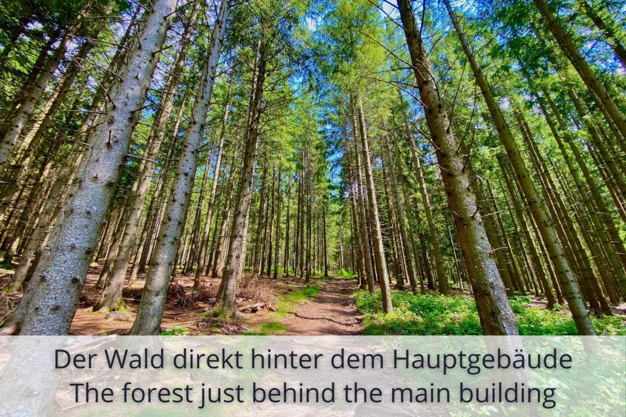 Auszeit Apartment Black Forest Schonach im Schwarzwald Экстерьер фото