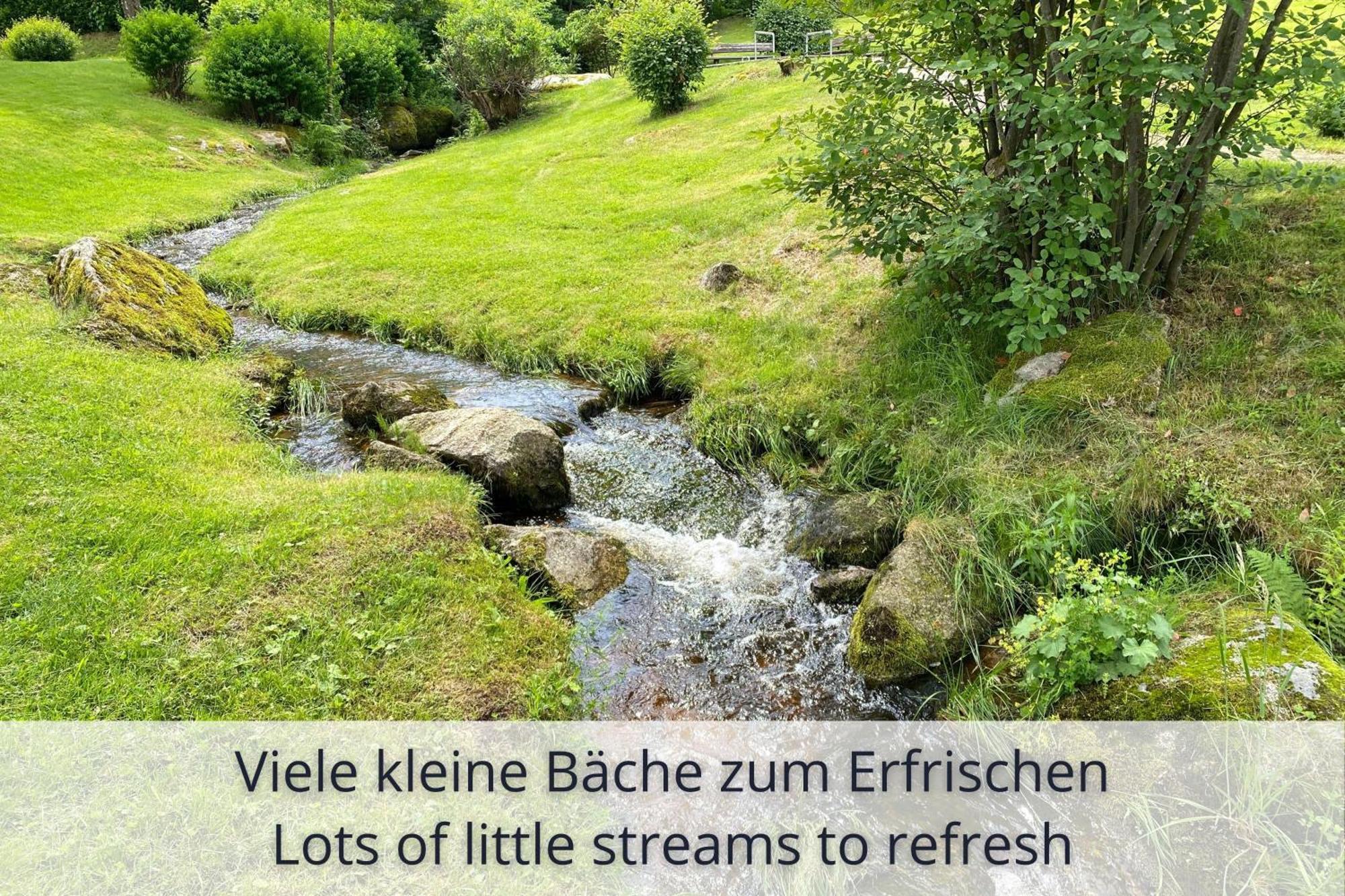 Auszeit Apartment Black Forest Schonach im Schwarzwald Экстерьер фото