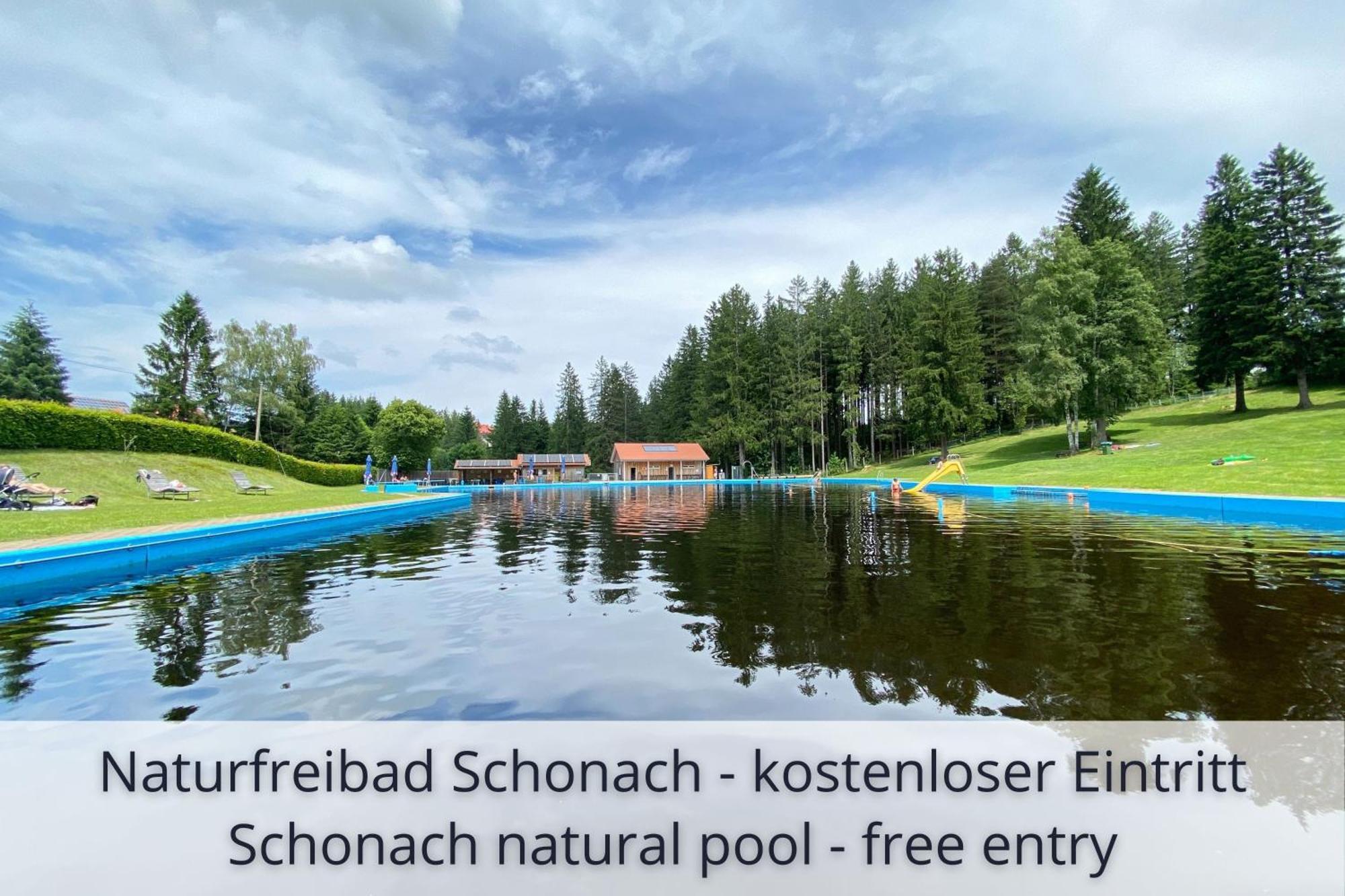 Auszeit Apartment Black Forest Schonach im Schwarzwald Экстерьер фото