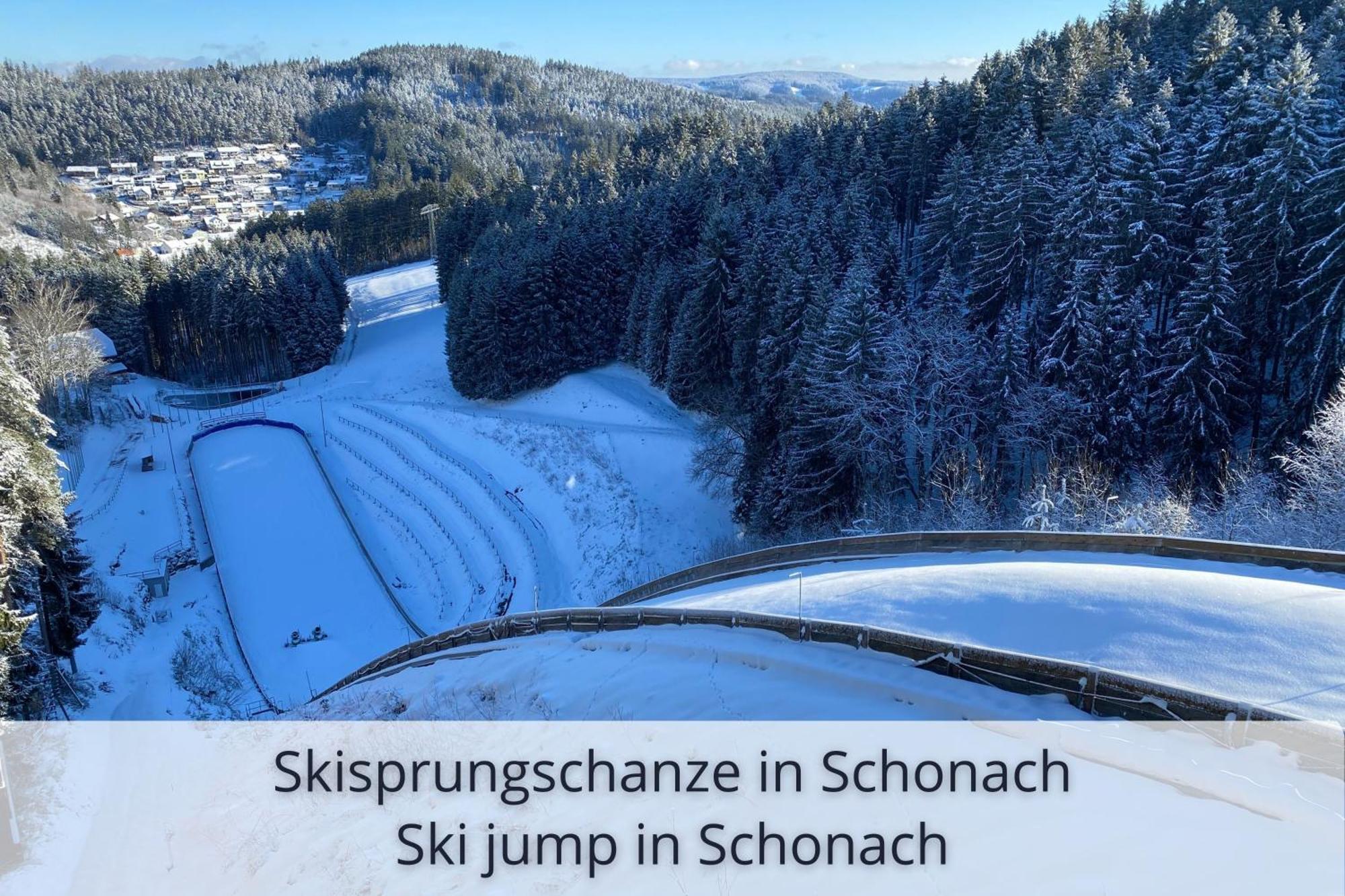 Auszeit Apartment Black Forest Schonach im Schwarzwald Экстерьер фото