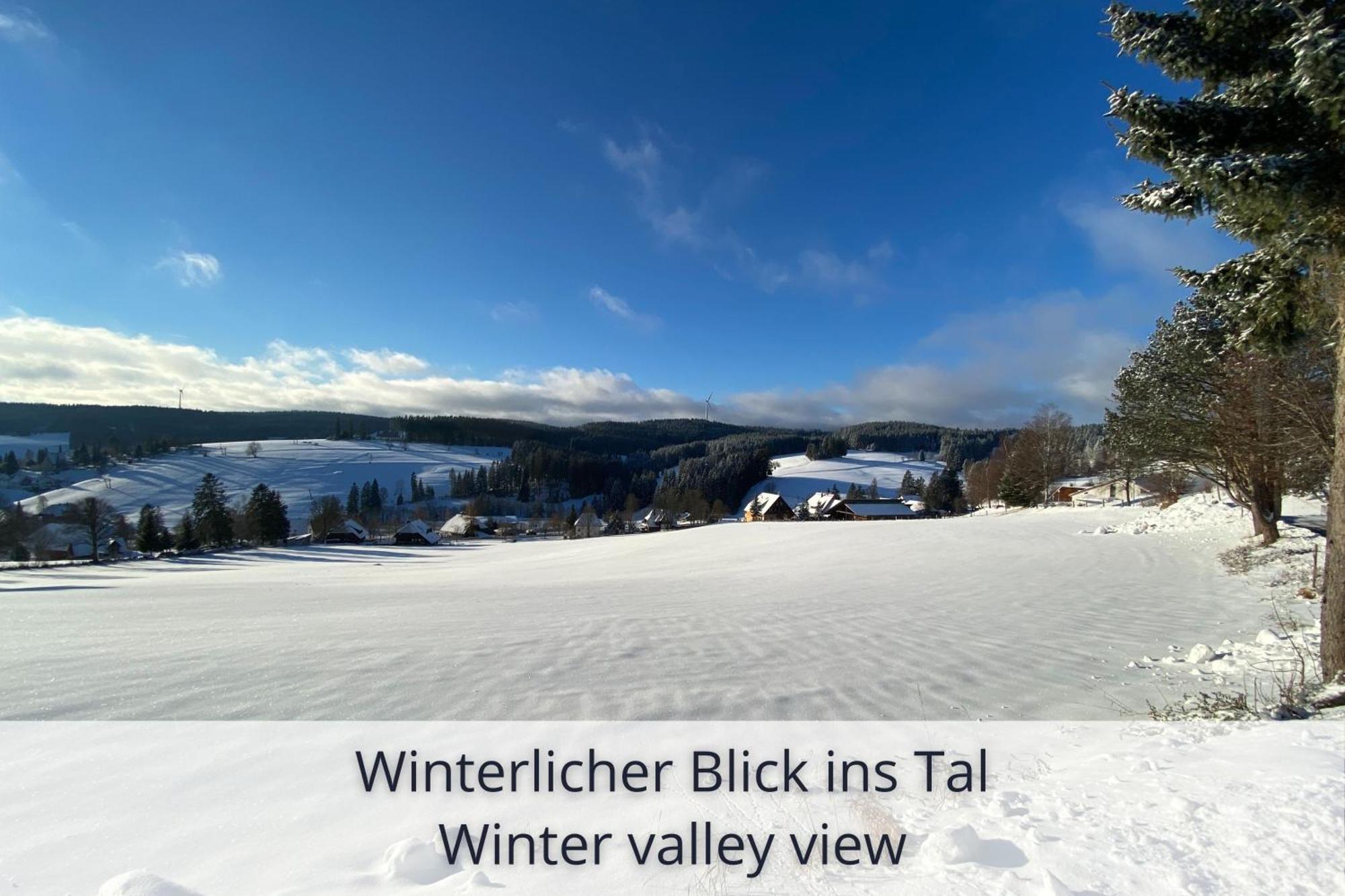Auszeit Apartment Black Forest Schonach im Schwarzwald Экстерьер фото