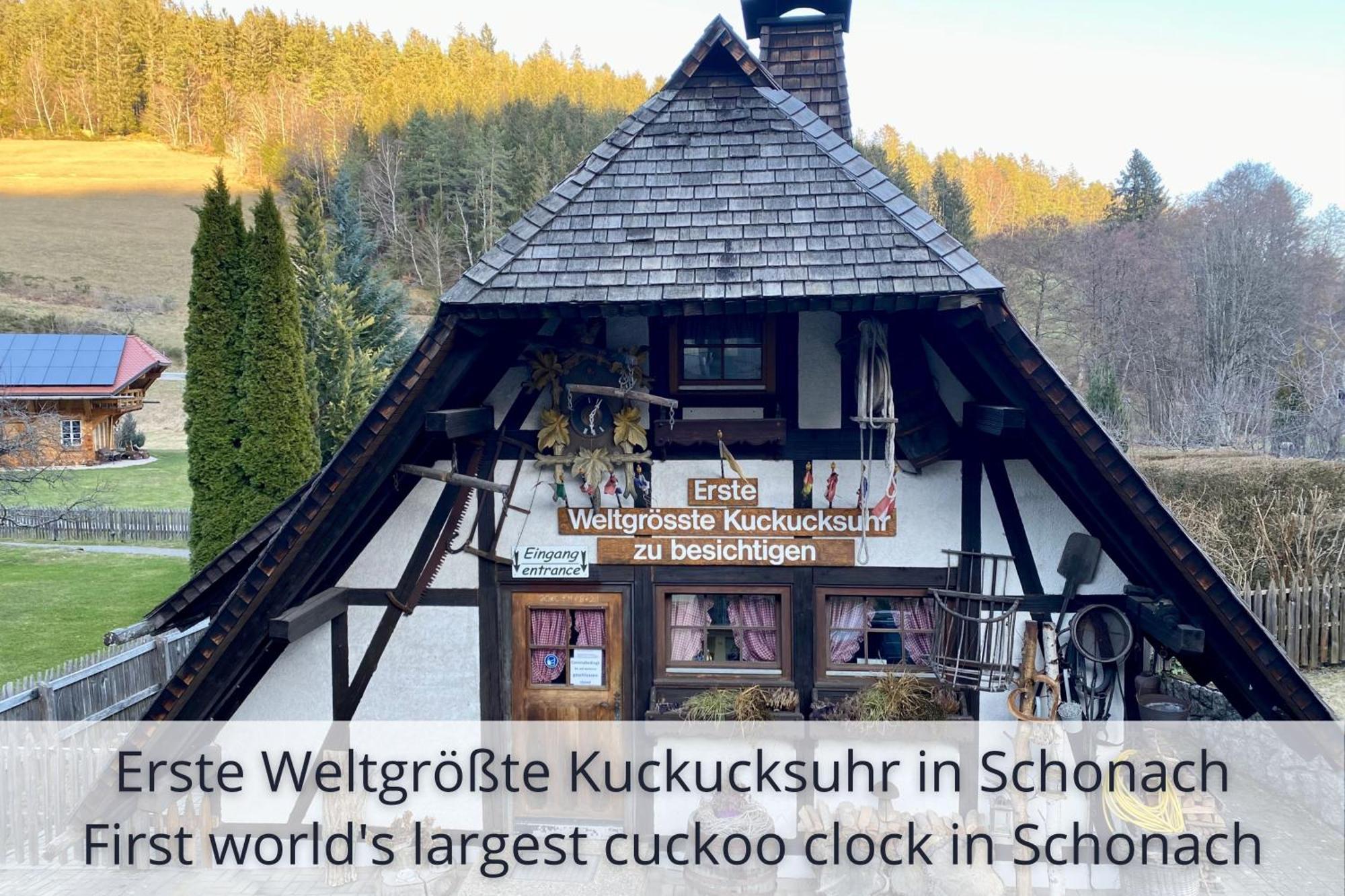 Auszeit Apartment Black Forest Schonach im Schwarzwald Экстерьер фото