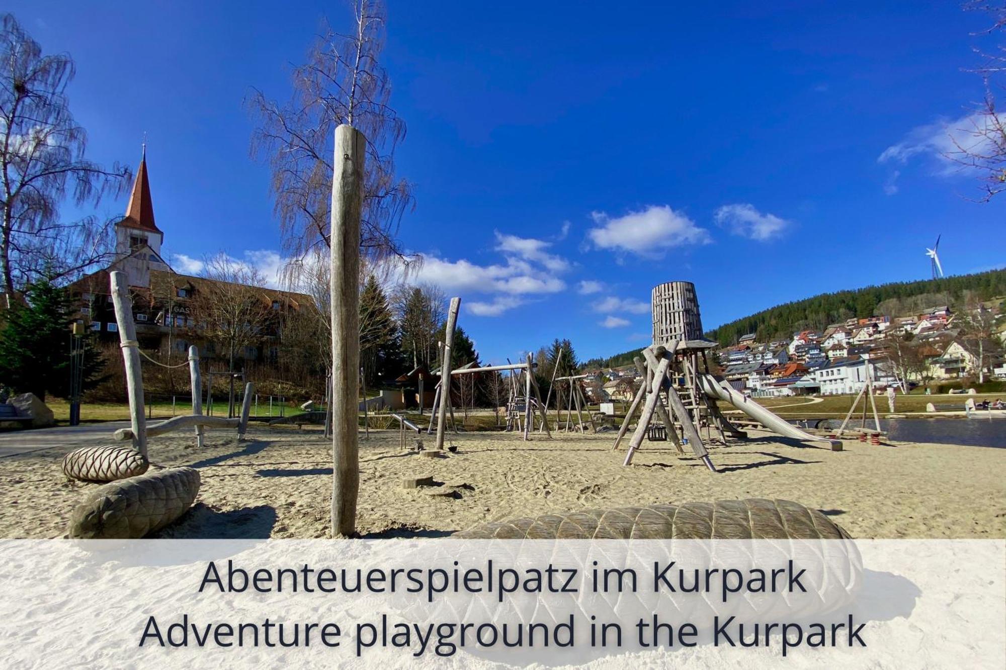 Auszeit Apartment Black Forest Schonach im Schwarzwald Экстерьер фото