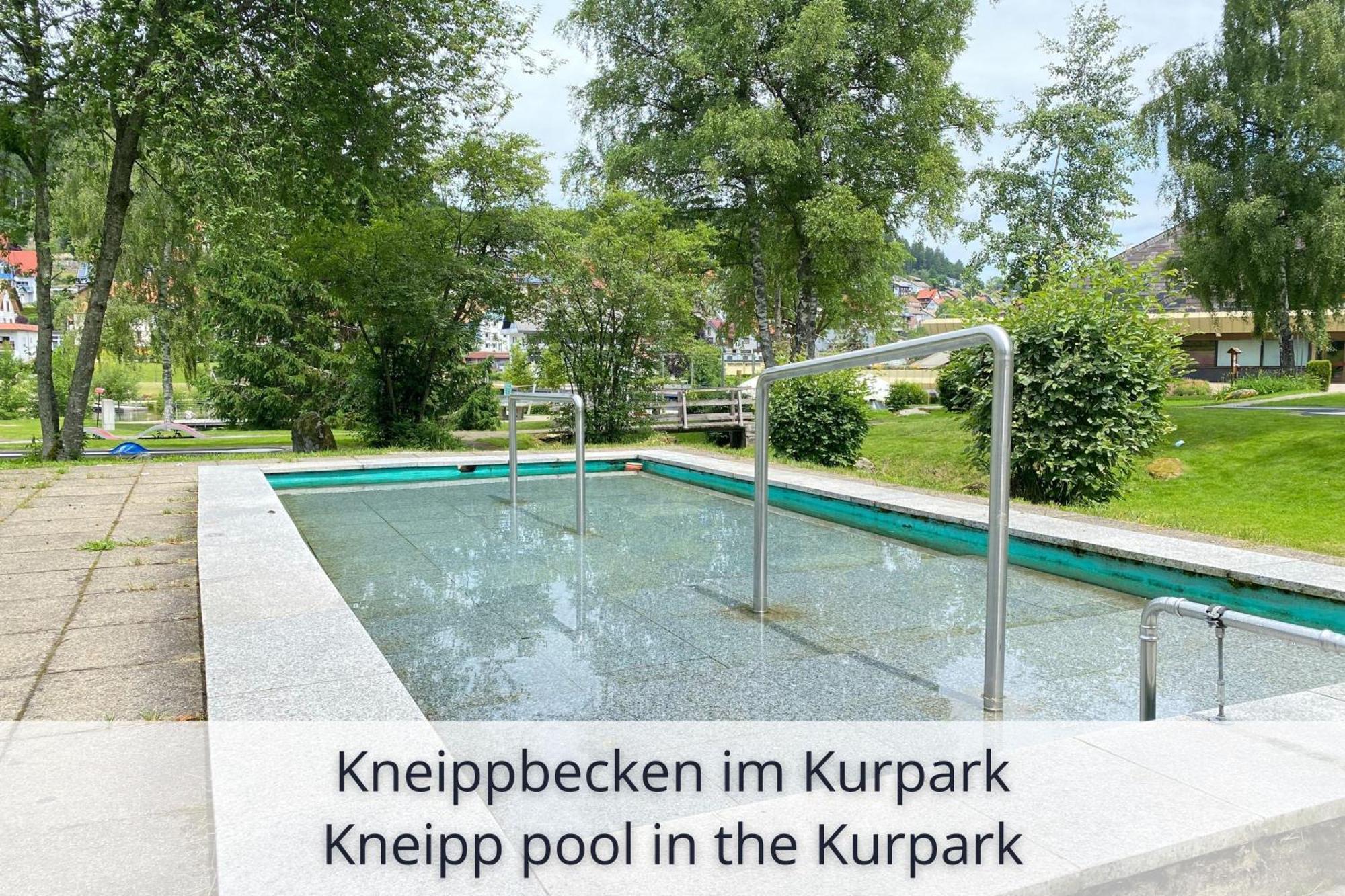 Auszeit Apartment Black Forest Schonach im Schwarzwald Экстерьер фото