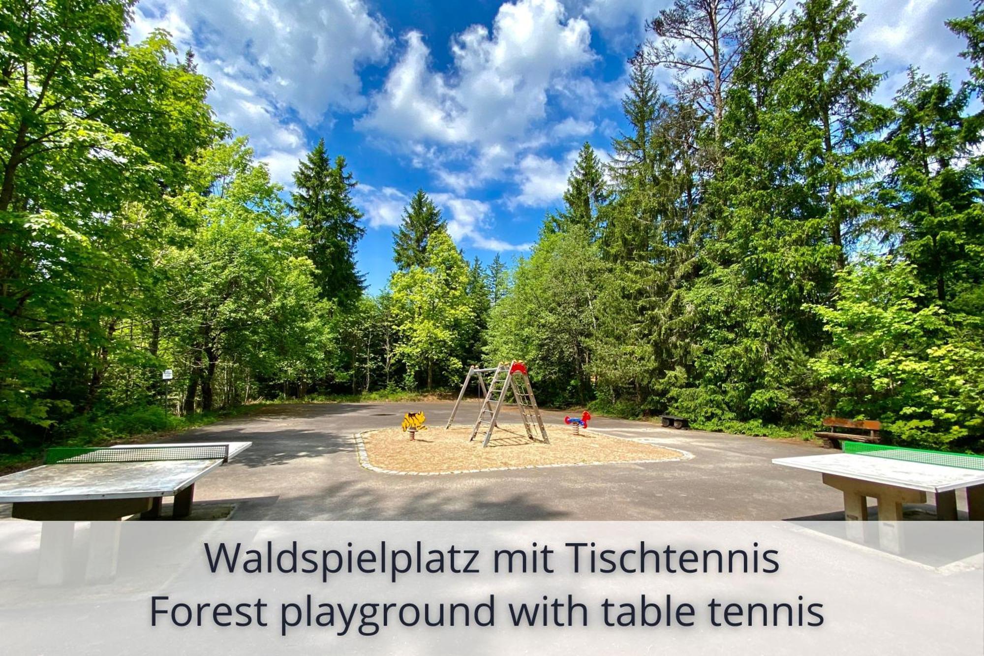 Auszeit Apartment Black Forest Schonach im Schwarzwald Экстерьер фото